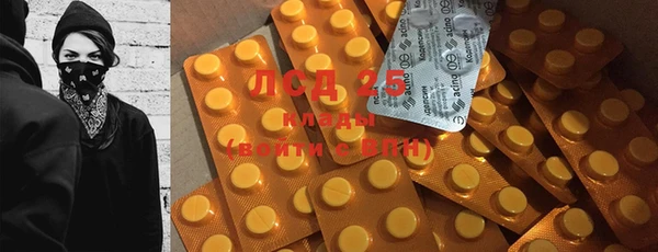 меф Чердынь