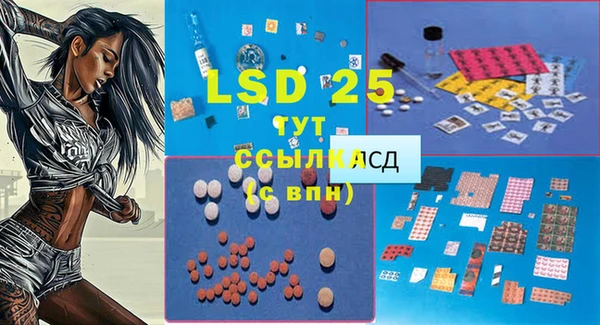 apvp Чегем